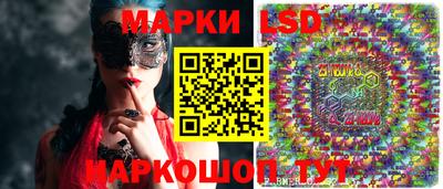 мдпв Новозыбков