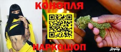 амф Новодвинск