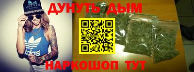 мдпв Новозыбков